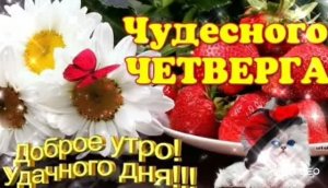 ДОБРОЕ УТРО ЧЕТВЕРГА. К ДОБРОМУ УТРУ ДОБРЫЕ ПОЖЕЛАНИЯ
