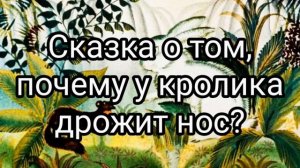 Сказка о том, почему у кролика дрожит нос?. Читаю ребёнку сказку