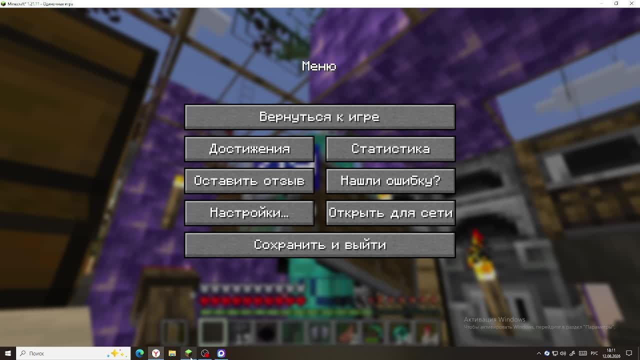 трансляция в майнкрафт MrIgruhaRT вопросы и ответы