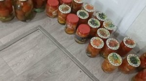 Первые помидоры поехали в погреб