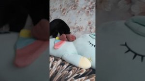 КАК ЗАПОМНЕЛА МИЛКА О ЧЕБУРТОЕ 🐱🤣