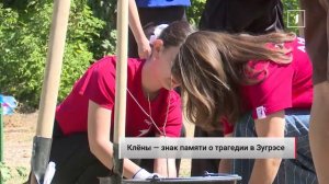 ⚡️ Чтобы помнили: в Зугрэсе высадили клёны в память о трагедии 13 августа 2014