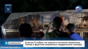 Ад на колесах: фургон с умирающими от жары собаками нашли в Москве