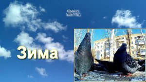 Зима #мой_город  #волгоград  #лучшее