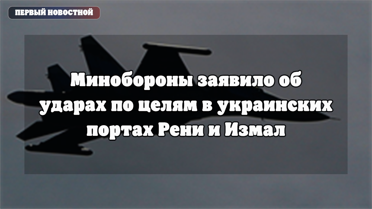 Минобороны сообщило об ударах БПЛА по объектам в портах Рени и Измаил