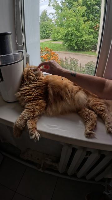 Ой, ну хватит