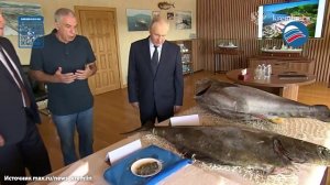 Путин прибыл посетил рыбоперерабатывающий комбинат «Ясный» на острове Итуруп