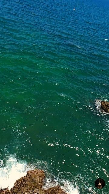 Скалистое побережье Тихого океана в Саюлите, Мексика — полёт на DJI Avata 🌊🇲🇽
