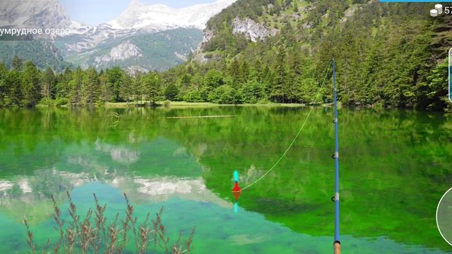 как поймать рыбу европейскую рапушку в игре My Fishing 🎣 World