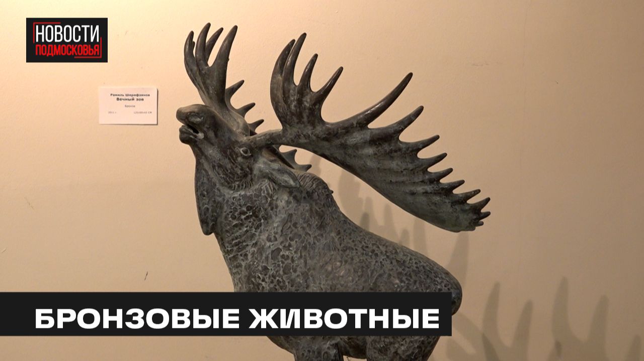 Выставка «Энергия творчества» открылась в Мытищах