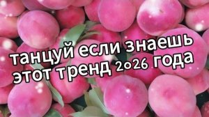 Танцуй если знаешь этот тренд 2026 года ♥️