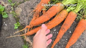 Хмурый день - вкусная закуска.