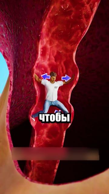 Что Будет, Если Тебя ПРОГЛОТЯТ?!🤯 #shorts #шортс #челлендж #интересно #факты #прикол #лайфхак