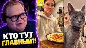 Эти питомцы делают ЧТО ХОТЯТ ► РЕАКЦИЯ T2x2