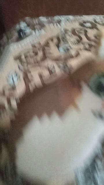 плюшевый мявол