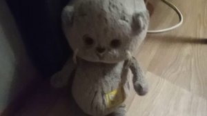 вечерний влг с басятами