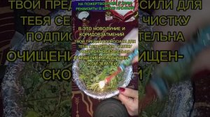 ТВОИ ПРЕДКИ ПОПРОСИЛИ ЭТУ ЧИСТКУ ДЛЯ ТЕБЯ СЕГОДНЯ