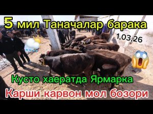 Таначалар 5 мил барака Реально Карши карвон мол бозори 1,03,26 Qarshi karvon mol bozori tanachalar