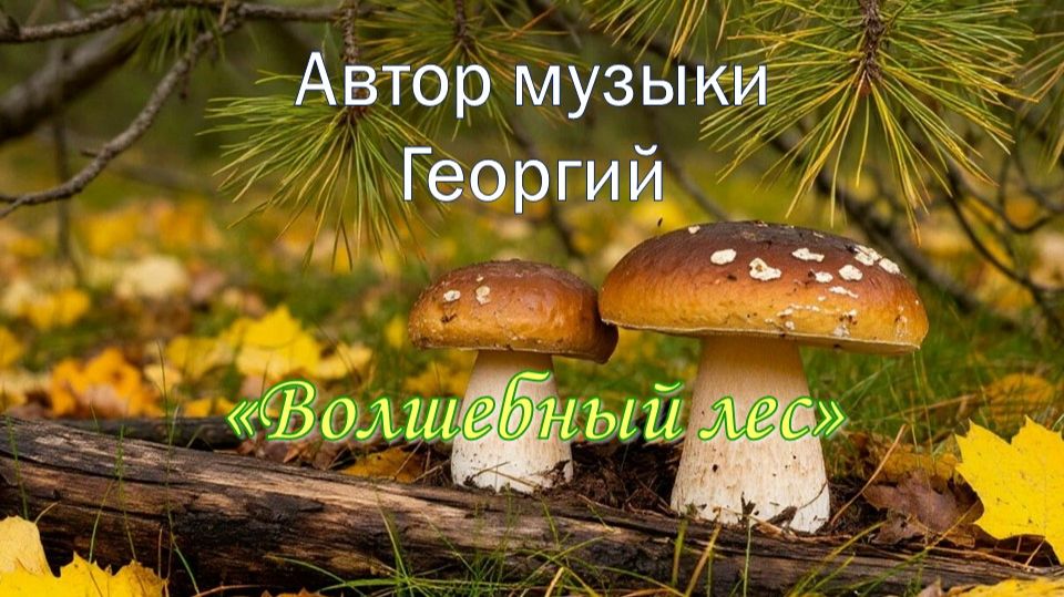 Музыка для души