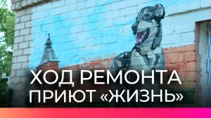 В приюте для безнадзорных животных «Жизнь» продолжается ремонт