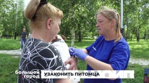 УЗАКОНИТЬ ПИТОМЦА. Большой город 13/08/2026