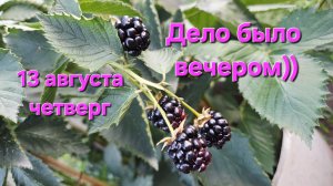 #влог Вечер✨️Новости нашей улицы😢