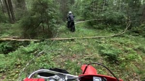 Эндуро прохват район Весьегонска