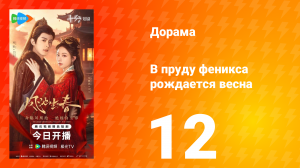 В пруду феникса рождается весна 12 серия