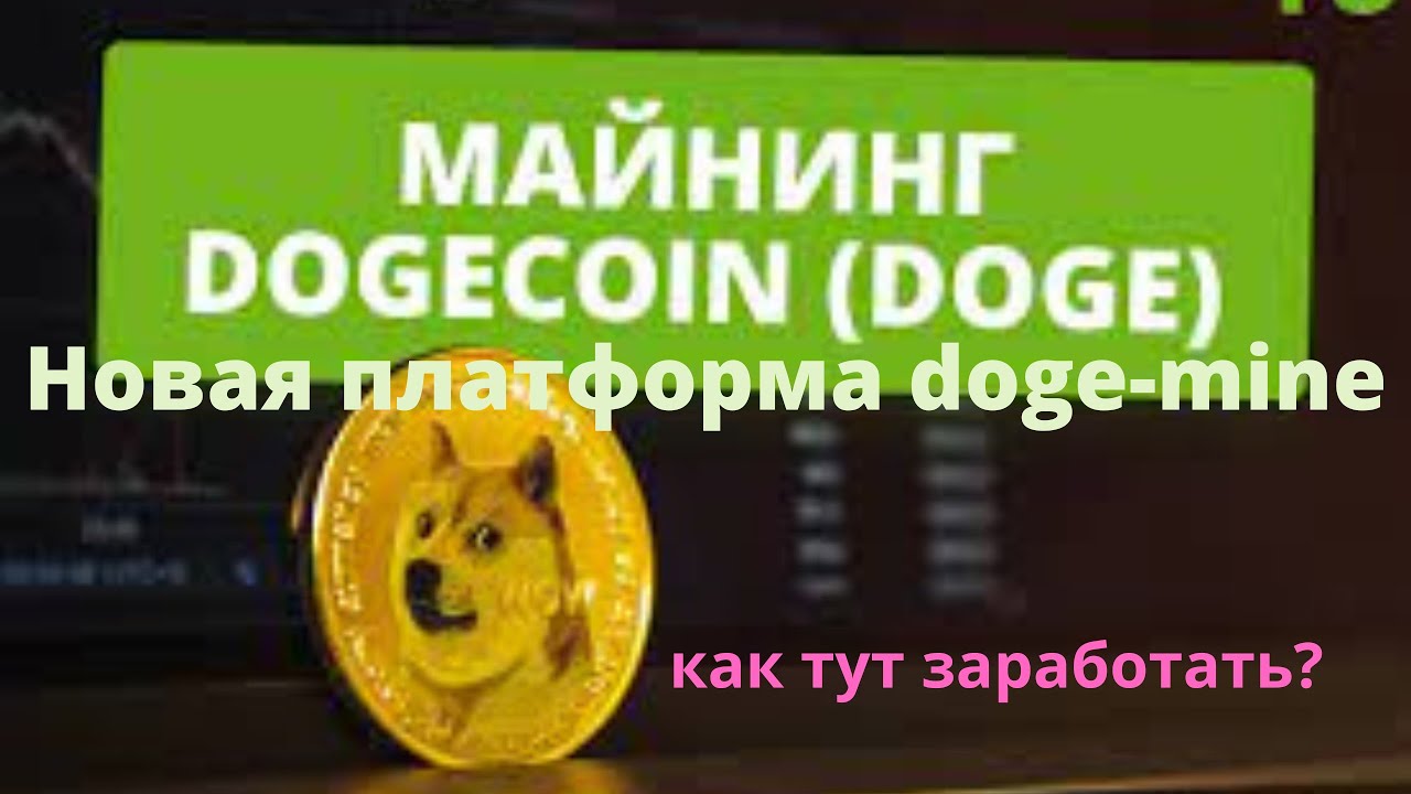 Майнинг Dogecoin (DOGE).Новая платформа Doge-mine.Где заработать Dogecoin?