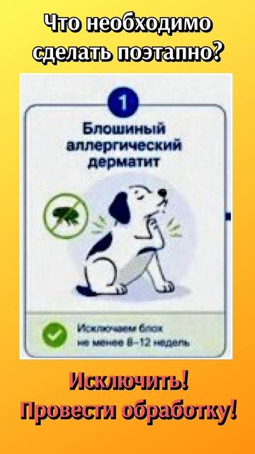 ВЕТКЛИНИКА.Аллергия