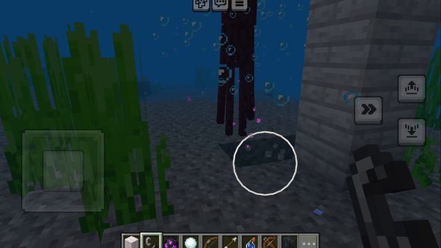Играю в Minecraft  24