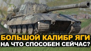 Через сколько боев у меня сгорит от Jagdpanzer E100? | Tanks Blitz стрим