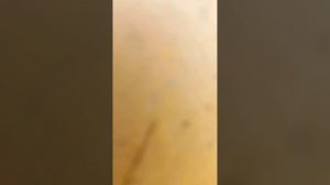 я думаю вы хотите узнать как эта игра называется пираты