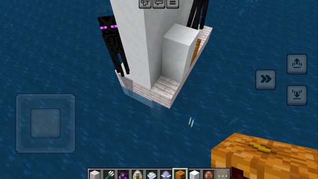 Играю в Minecraft  25