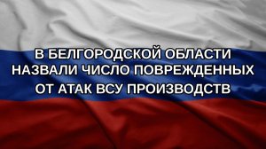 В Белгородской области назвали число поврежденных от атак ВСУ производств