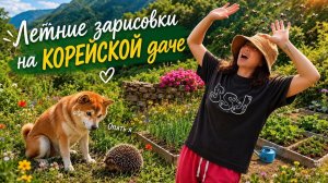 КАК ВЫЖИВАЕТ РУССКОЯЗЫЧНАЯ ЖЕНА В ЮЖНОЙ КОРЕЕ: Куры, розы, огород и немного жести  KOREA VLOG