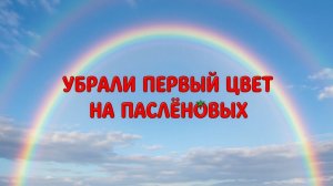 УДИВИТЕЛЬНОЕ НЕБО ПОСЛЕ ДОЖДЯ. ДВОЙНАЯ РАДУГА. 2026-06-19 ПО 20