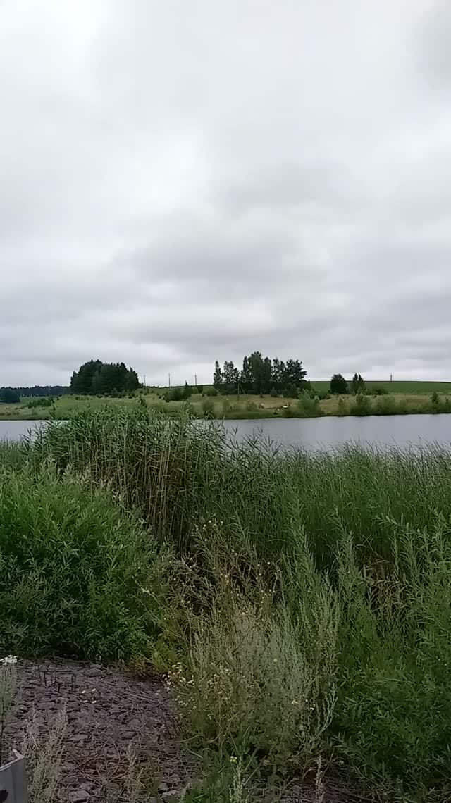 Подъезжая к деревне Ретяжи