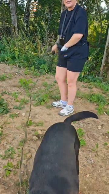 Тодин