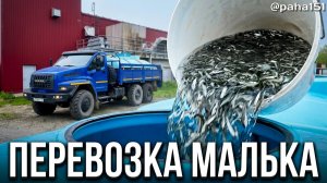 Перевозка малька с Янского рыбоводного завода на Колымское водохранилище // ИТОГОВЫЙ РОЛИК
