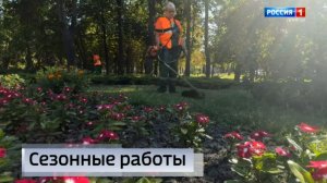 Работа зеленстроя