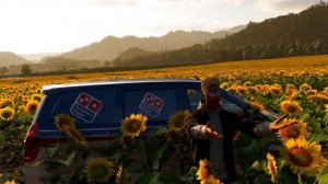 Подсолнуховая ферма Хокурю находится тут в Forza Horizon 6