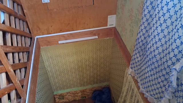 11-12.08.26. Жизнь на даче. Урожай лука 