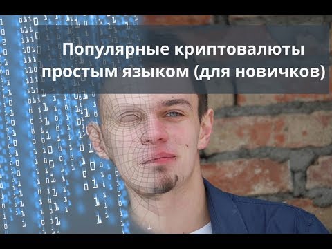Майнинг дома.  Популярные криптовалюты простым языком (для новичков)