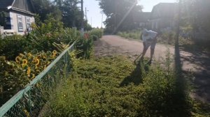 Вот и день прошел.