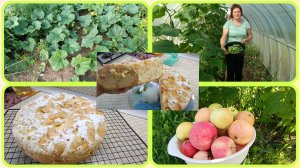 Нет огурцов,как так 🤷♀️Шарлотка🍎🍏