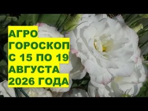Что говорит агрогороскоп с 15 по 19 августа 2026?