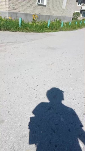 мама Аслана