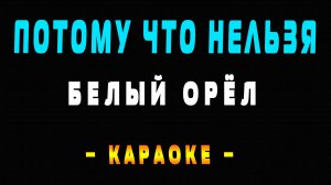 Караоке Белый Орёл - Потому что нельзя