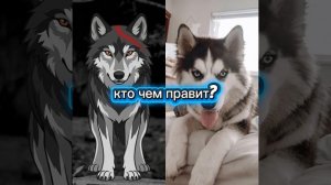 Юкиша VS Сава! Юкиша (говорящая собака)
